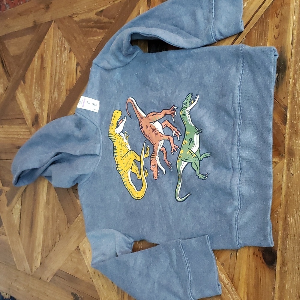 JUMPING  bean fleece boys Dinosaur Hoodie